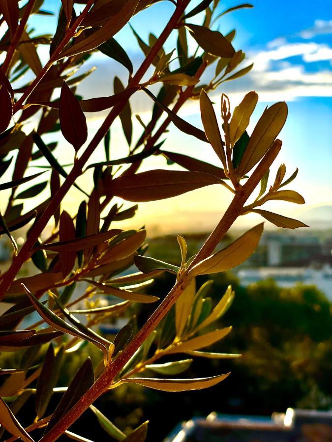 Rooftop Apartement - Quartier Croisette - Esc'Appart Κάννες Εξωτερικό φωτογραφία